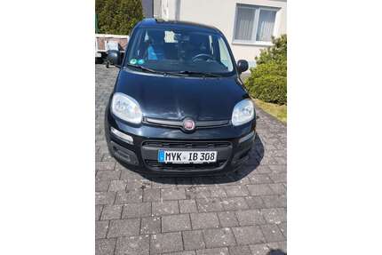 Fiat Panda Gebrauchtwagen