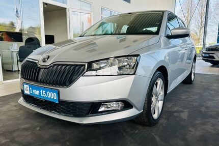 Skoda Fabia Gebrauchtwagen