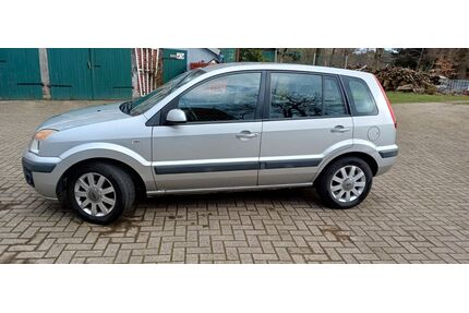 Ford Fusion Gebrauchtwagen