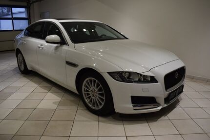 Jaguar XF Gebrauchtwagen