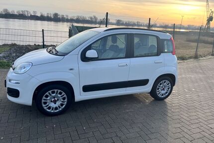 Fiat Panda Gebrauchtwagen