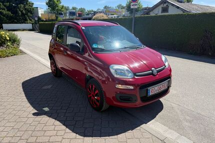 Fiat Panda Gebrauchtwagen
