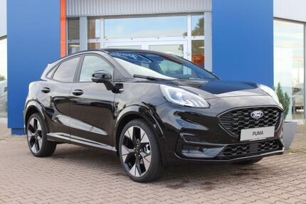 Ford Puma Gebrauchtwagen