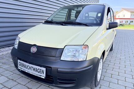Fiat Panda Gebrauchtwagen