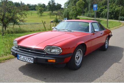 Jaguar XJS Gebrauchtwagen