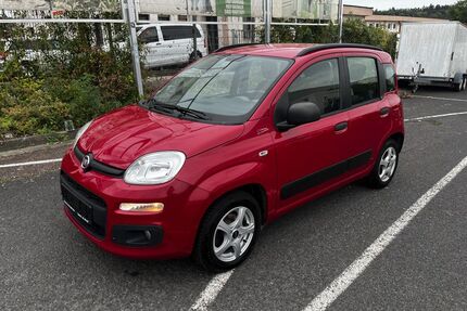 Fiat New Panda Gebrauchtwagen