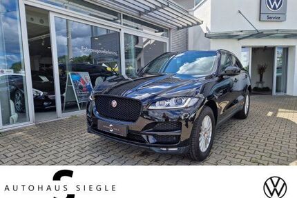 Jaguar F-Pace Gebrauchtwagen