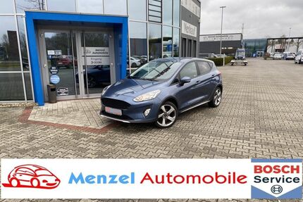 Ford Fiesta Gebrauchtwagen