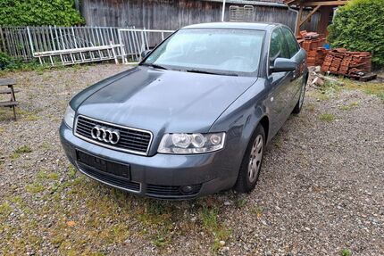 Audi A4 Gebrauchtwagen