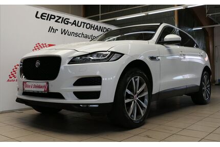 Jaguar F-Pace Gebrauchtwagen