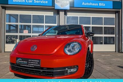 VW Beetle Gebrauchtwagen