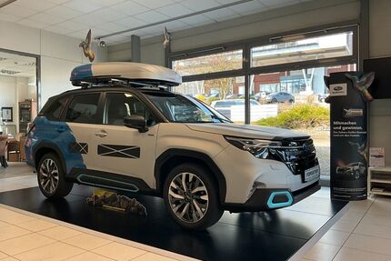 Subaru Forester Gebrauchtwagen