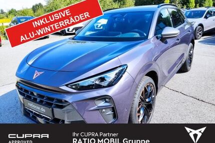Cupra Terramar Gebrauchtwagen