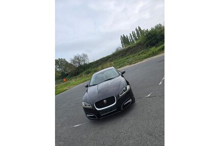 Jaguar XF Gebrauchtwagen