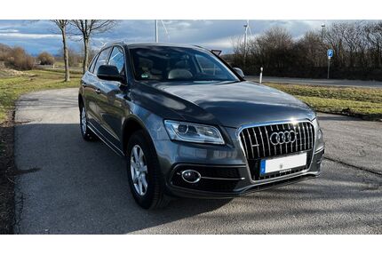 Audi Q5 Gebrauchtwagen