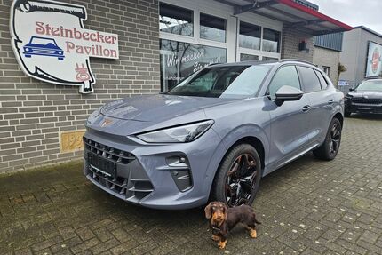 Cupra Terramar Gebrauchtwagen