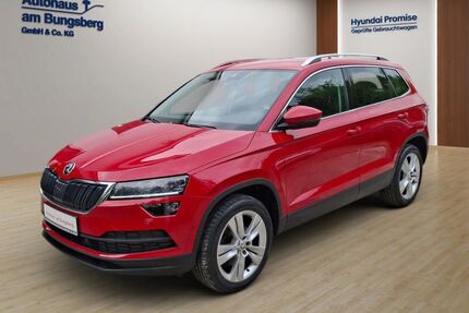 Skoda Karoq Gebrauchtwagen