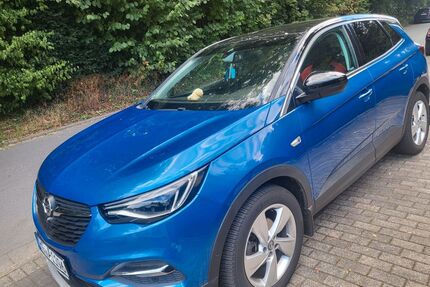 Opel Grandland (X) Gebrauchtwagen