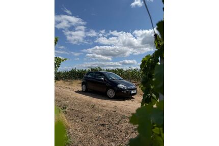 Fiat Punto Evo Gebrauchtwagen