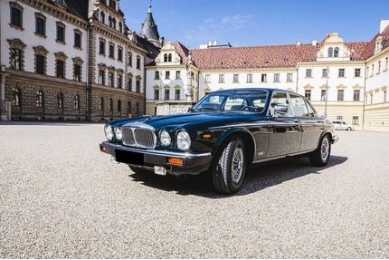 Jaguar Daimler Gebrauchtwagen