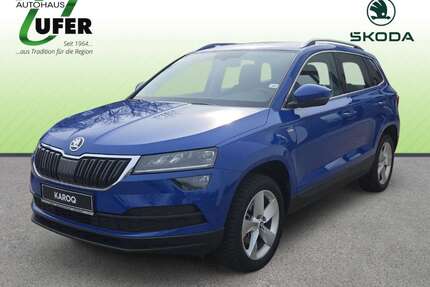 Skoda Karoq Gebrauchtwagen