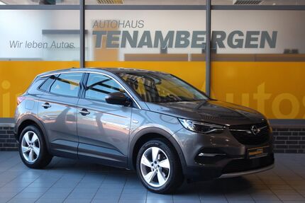 Opel Grandland (X) Gebrauchtwagen