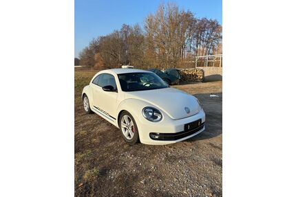 VW Beetle Gebrauchtwagen