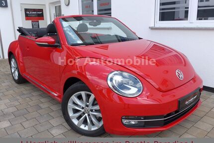 VW Beetle Gebrauchtwagen