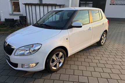 Skoda Fabia Gebrauchtwagen