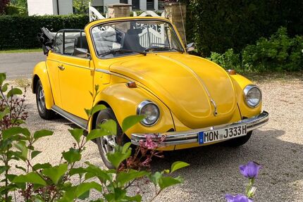 VW Käfer Gebrauchtwagen