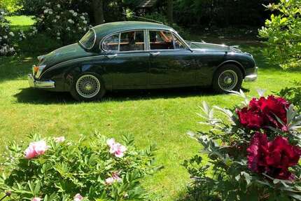 Jaguar MK II Gebrauchtwagen