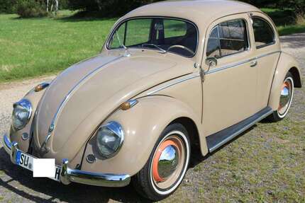VW Käfer Gebrauchtwagen