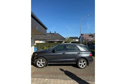 Mercedes-Benz ML 250 Gebrauchtwagen