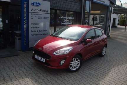 Ford Fiesta Gebrauchtwagen