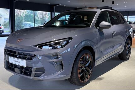 Cupra Terramar Gebrauchtwagen