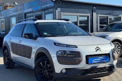 Citroen C4 Cactus Gebrauchtwagen