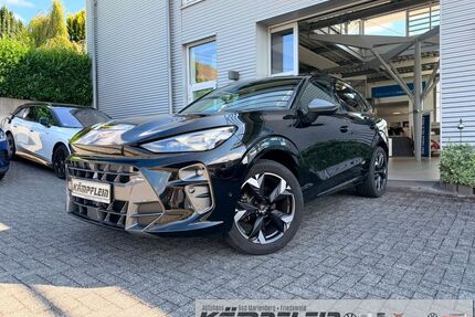 Cupra Terramar Gebrauchtwagen
