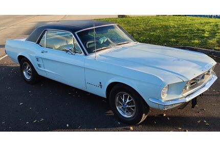 Ford Mustang Gebrauchtwagen