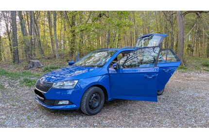 Skoda Fabia Gebrauchtwagen