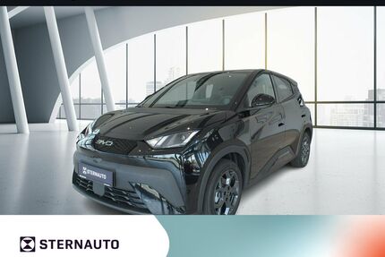 BYD DOLPHIN Gebrauchtwagen