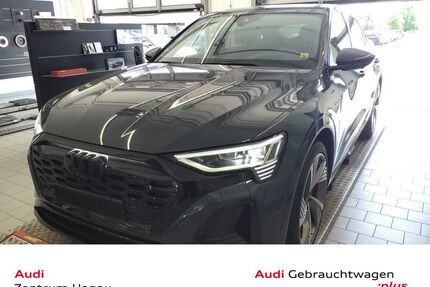 Audi Q8 e-tron Gebrauchtwagen