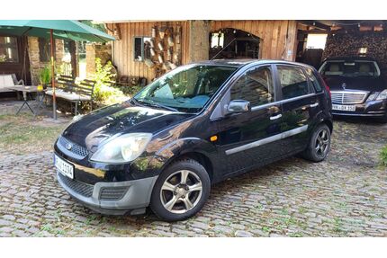 Ford Fiesta Gebrauchtwagen