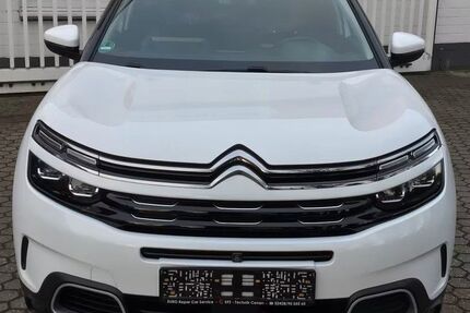 Citroen C5 Aircross Gebrauchtwagen