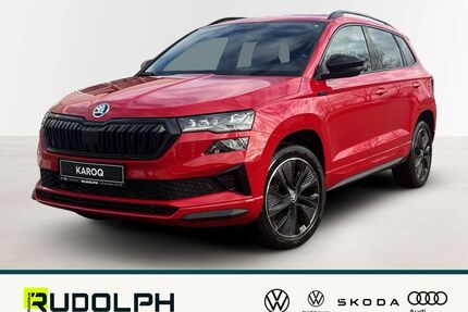 Skoda Karoq Gebrauchtwagen