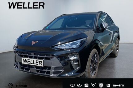 Cupra Terramar Gebrauchtwagen