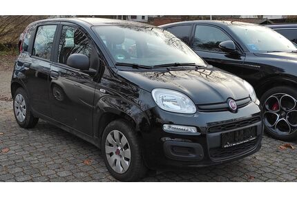 Fiat Panda Gebrauchtwagen