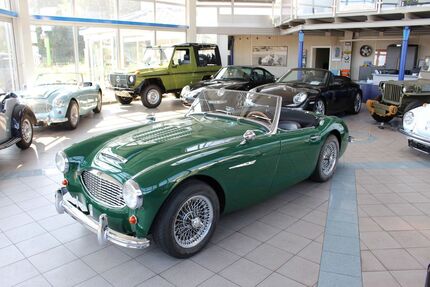 Austin Healey Andere Gebrauchtwagen