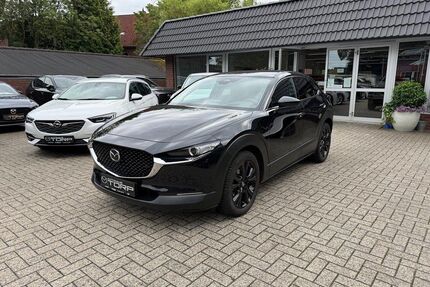Mazda 2 Gebrauchtwagen