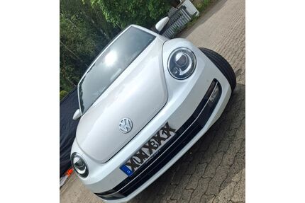 VW Beetle Gebrauchtwagen