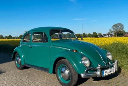 VW Käfer Gebrauchtwagen